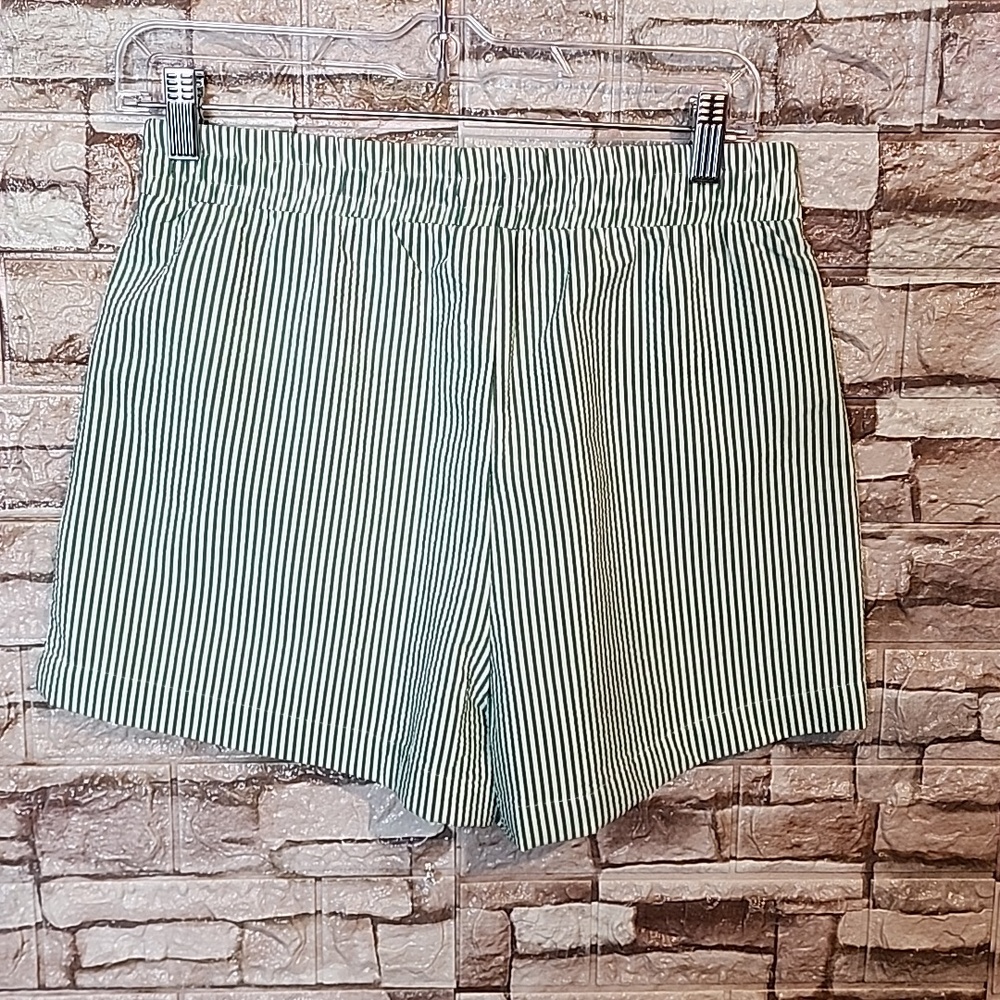 Forever 21 Green Striped Short - Picture 6 of 6